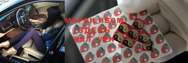 хмурый Алзамай