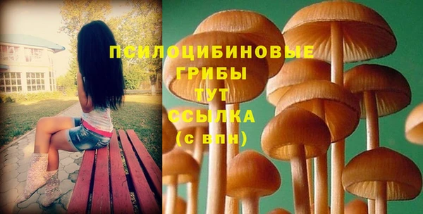 хмурый Алзамай