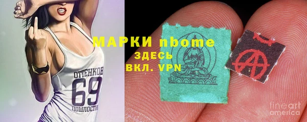 хмурый Алзамай